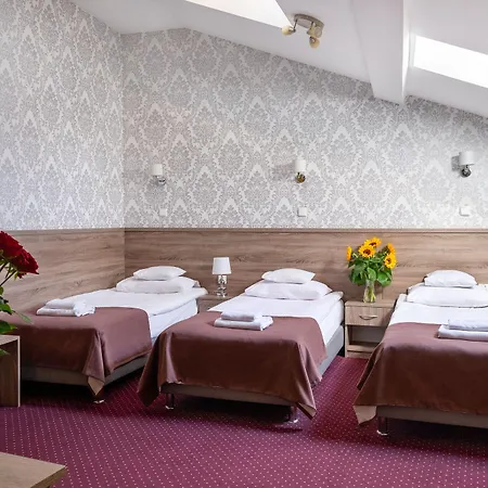 Maximum Hotell 3*