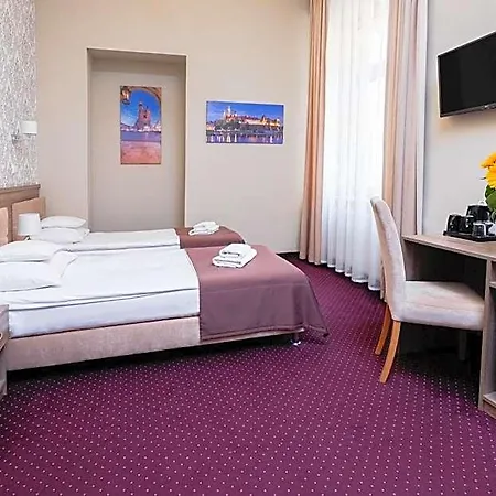 Hotel Maximum 3*